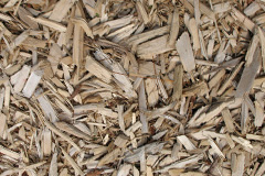 biomass boilers Poltalloch